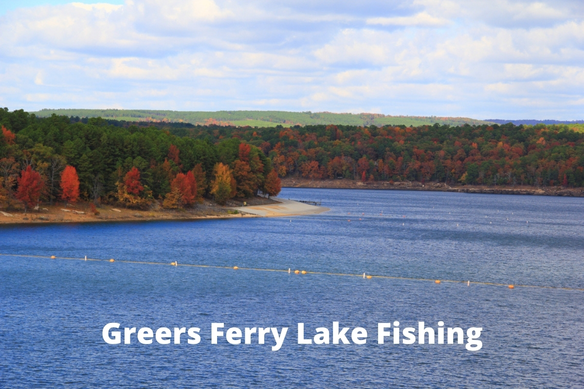 Greers Ferry Lake Fishing - Lake Ontario Outdoors